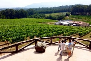 وجهة نظر فالمينور