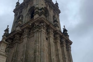 Tour Cathedral of Santiago with roofs & Portico de la Gloria