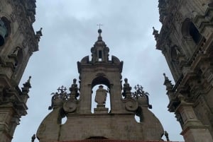 Tour Cathedral of Santiago with roofs & Portico de la Gloria