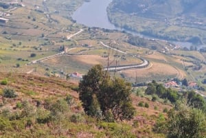 Tour Valle del Douro, Braga Guimarães, Santiago Compostela
