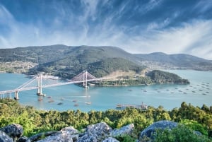 Vigo : Visite pied privée de la ville avec bière ou vin