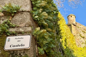 Vigo : visite privée à pied avec dégustation de bière ou de vin
