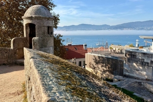Vigo : visite privée à pied avec dégustation de bière ou de vin