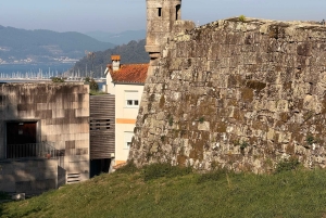 Vigo : visite privée à pied avec dégustation de bière ou de vin