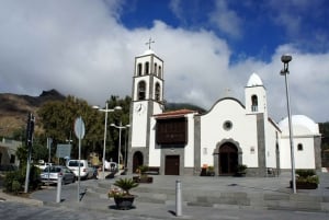 Vigo: wycieczka z przewodnikiem po Santiago de Compostela z katedrą