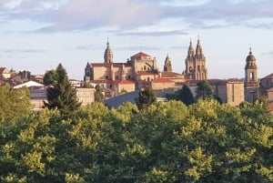 Vigo: wycieczka z przewodnikiem po Santiago de Compostela z katedrą