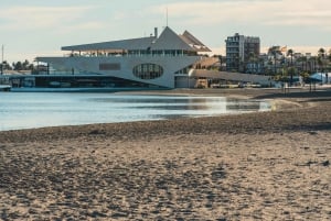 Vigo: wycieczka z przewodnikiem po Santiago de Compostela z katedrą