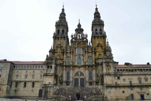 Vigo: rondleiding door Santiago de Compostela met kathedraal