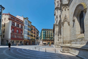 Vigo: Guidet tur til Santiago de Compostela med katedralen