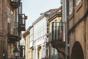Vigo: Santiago de Compostela landudflugt Privat tur