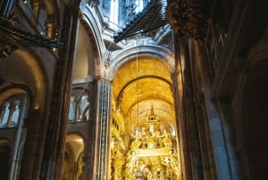Vigo: Santiago de Compostela landudflugt Privat tur