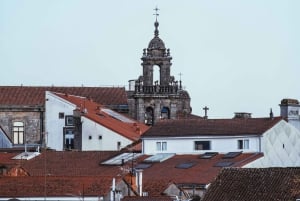 Vigo: Santiago de Compostela landudflugt Privat tur