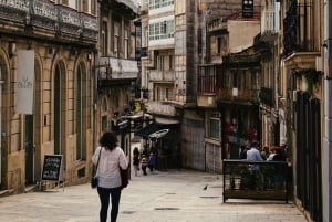 Vigo: Santiago de Compostela landudflugt Privat tur
