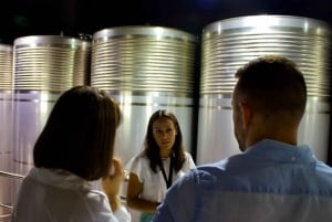 Besøk til Adegas Valmiñor-vingården og prøvesmaking