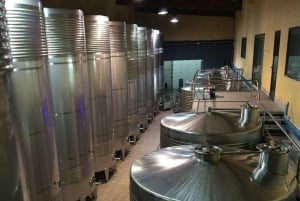 Besøg på vingården Adegas Valmiñor og smagning