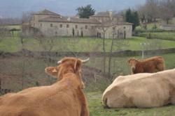 A Tribute to Galicia