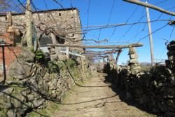 Virtual Tour of Rias Baixas