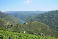 Virtual Tour of Ribeira Sacra