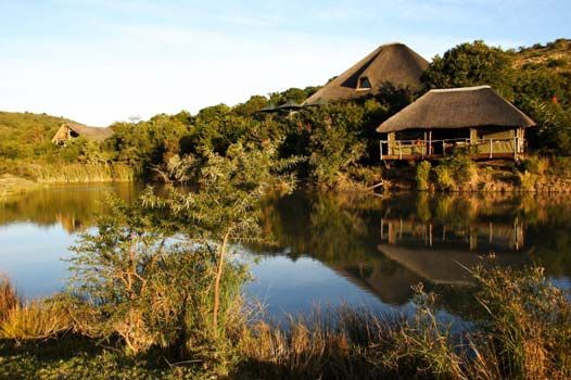 Luxury eco-safari at Shamwari Game Reserve, Eastern Cape