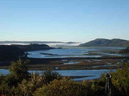View from the Phantom Forest Eco Lodge, Knysna, South Africa