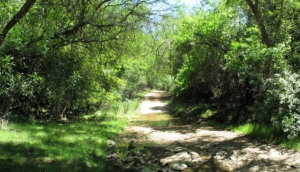 Camp under star filled skies in the Baviaanskloof Mega Reserve