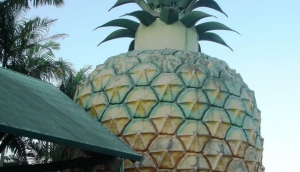 The Big Pineapple 