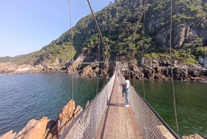 Visite à la Route des jardins en 1 journée : De Port Elizabeth aux Crags