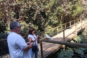 Visite à la Route des jardins en 1 journée : De Port Elizabeth aux Crags