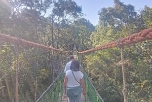 Visite à la Route des jardins en 1 journée : De Port Elizabeth aux Crags