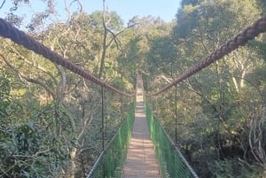 Visite à la Route des jardins en 1 journée : De Port Elizabeth aux Crags