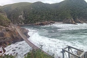 Visite à la Route des jardins en 1 journée : De Port Elizabeth aux Crags