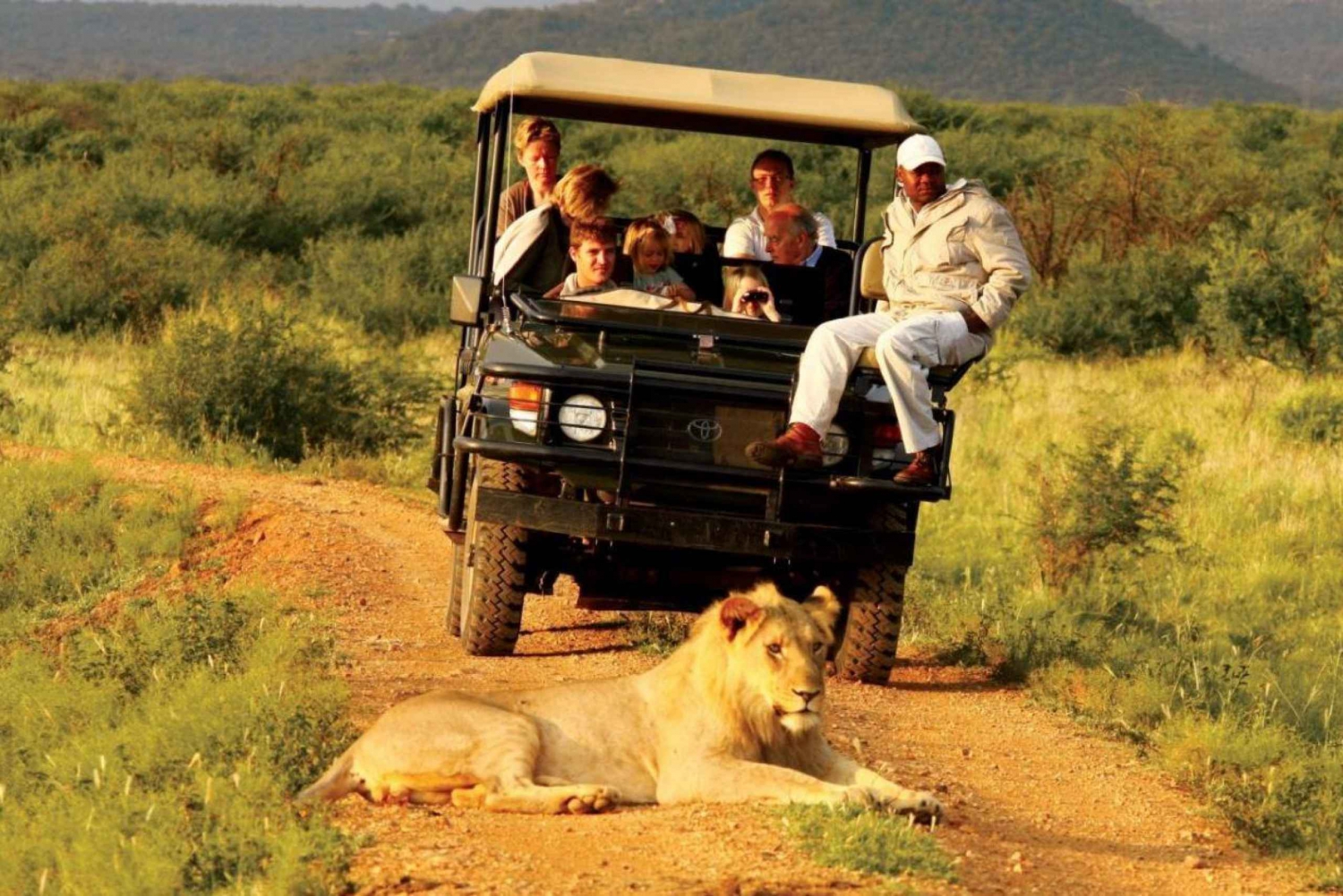 10 dagers privat safari: Johannesburg til Cape Town