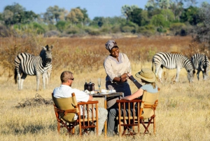 10 Day Private Safari : Johannesburg to Cape Town