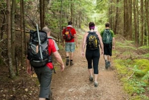 Excursão de 10 dias pela África do Sul - Joanesburgo a Cidade do Cabo