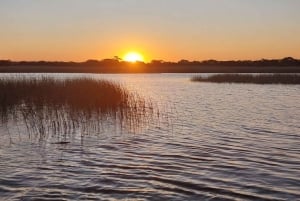 Excursão de 10 dias pela África do Sul - Joanesburgo a Cidade do Cabo
