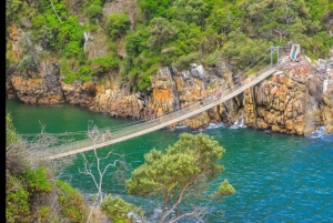 2-dages Garden Route fra Port Elizabeth – Tsitsikamma & Plett