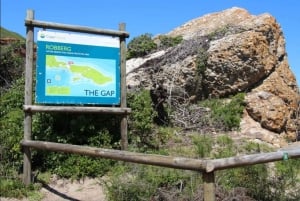 2-dages Garden Route fra Port Elizabeth – Tsitsikamma & Plett