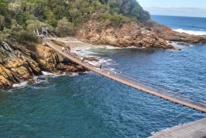 2-dages Garden Route fra Port Elizabeth – Tsitsikamma & Plett