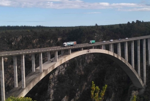 2-dages Garden Route fra Port Elizabeth – Tsitsikamma & Plett