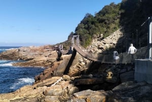 2-dages Garden Route fra Port Elizabeth – Tsitsikamma & Plett