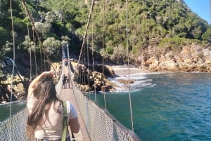 2-dages Garden Route fra Port Elizabeth – Tsitsikamma & Plett