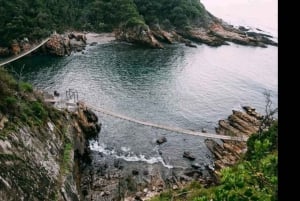 2-dages Garden Route fra Port Elizabeth – Tsitsikamma & Plett