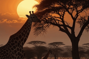 3-Day Cape Agulhas, Safari & Winelands Tour