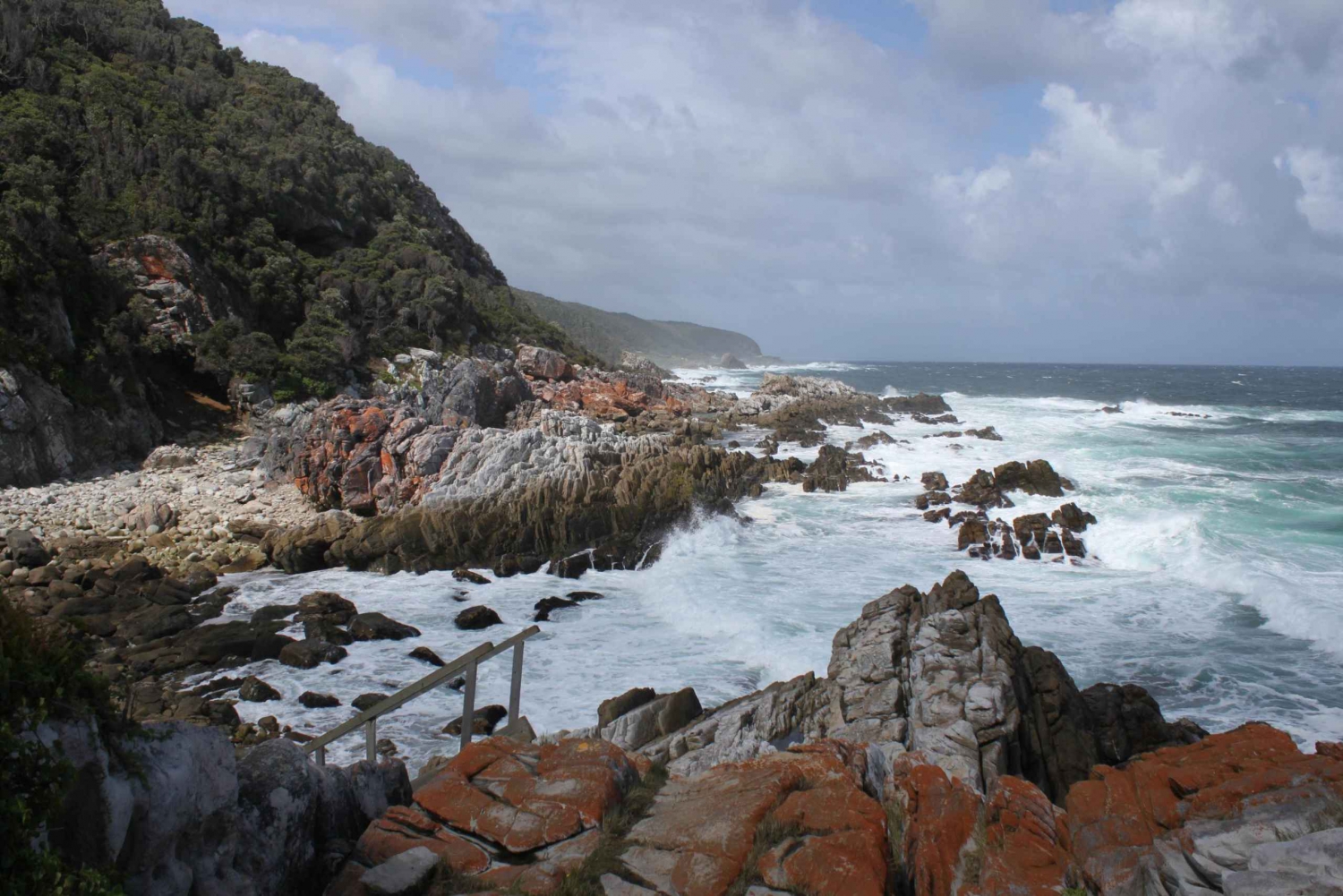 Experience the Vibrant Summer Festivals in Garden Route