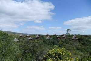 4-Day Garden Route Experience