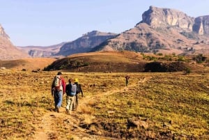 4 Day Garden Route Safari from Cape Town