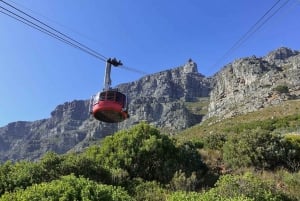 4-Day Private Highlights Tour & Overnight Big5 Aquila Safari
