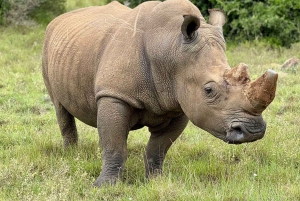 Schotia Private Game Reserve.