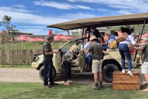 Bon Game Reserve: Safari