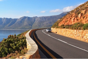 Cape: Safari & Whale Coast 3 päivän kiertomatka yksityisillä kuljetuksilla